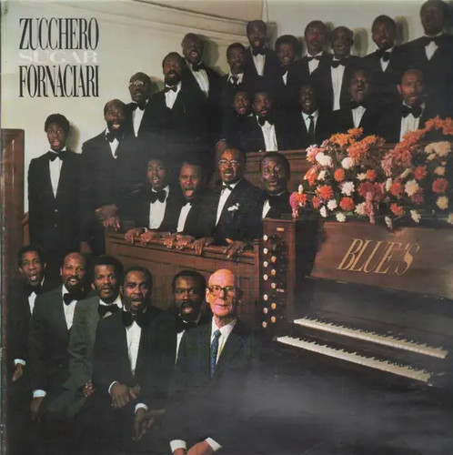 Zucchero sugar fornaciari - sugar,