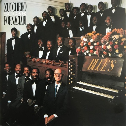 Zucchero sugar fornaciari - zucchero,